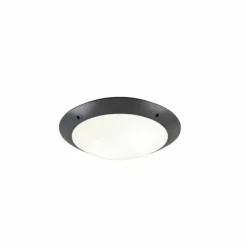 Plafonnier d'extérieur Reality CAMARO Anthracite, 2 lumières