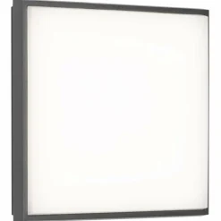Plafonnier extérieur LCD TYP 5061 LED Noir, 1 lumière