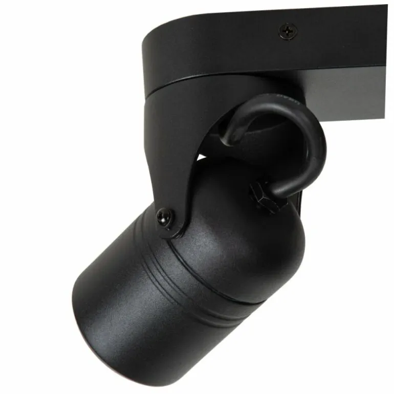 plafonnier extérieur Lucide NIORT Noir, 2 lumières
