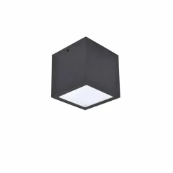plafonnier extérieur Lutec Gemini LED Anthracite, 1 lumière
