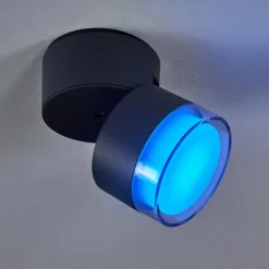 plafonnier extérieur Papagayos LED Anthracite, Blanc, 1 lumière, Changeur de couleurs
