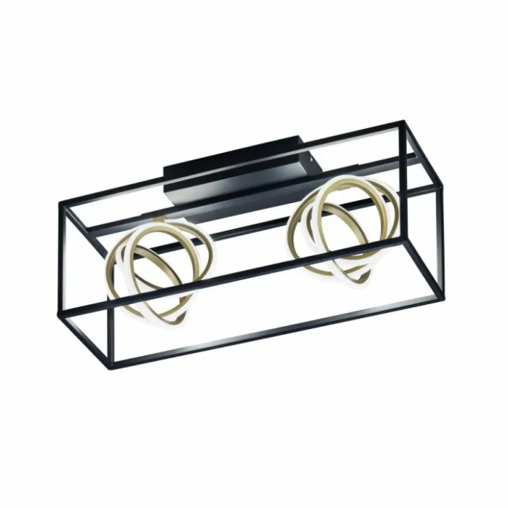 Luminaires Fischer & Honsel Éclairage Led|Plafonnier Fischer & Honsel Gisi LED Noir, 2 lumières, Télécommandes