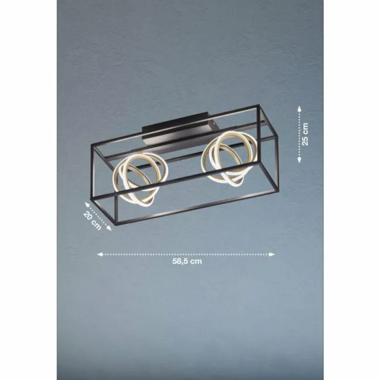 Luminaires Fischer & Honsel Éclairage Led|Plafonnier Fischer & Honsel Gisi LED Noir, 2 lumières, Télécommandes