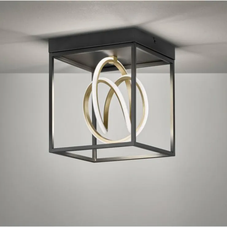 Luminaires Fischer & Honsel Éclairage Led|Plafonnier Fischer & Honsel Gisi LED Noir, 1 lumière, Télécommandes
