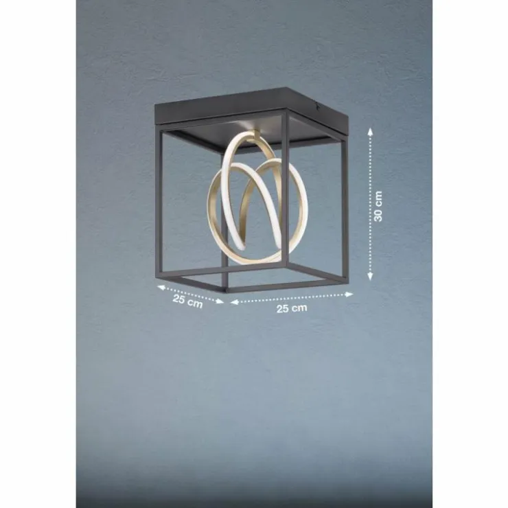 Luminaires Fischer & Honsel Éclairage Led|Plafonnier Fischer & Honsel Gisi LED Noir, 1 lumière, Télécommandes