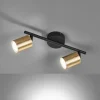 Luminaires Fischer & Honsel Éclairage Led|Plafonnier Fischer & Honsel Vano LED Noir, 2 lumières