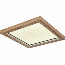 Luminaires Globo Lighting Éclairage Led|Plafonnier Globo BRANZA LED Noir, 1 lumière, Télécommandes