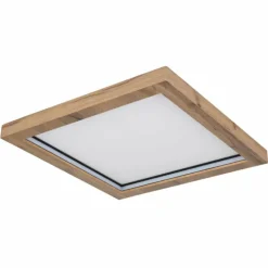 Luminaires Globo Lighting Éclairage Led|Plafonnier Globo BRANZA LED Noir, 1 lumière, Télécommandes