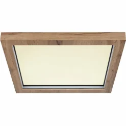 Luminaires Globo Lighting Éclairage Led|Plafonnier Globo BRANZA LED Noir, 1 lumière, Télécommandes