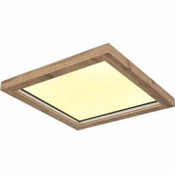 Luminaires Globo Lighting Éclairage Led|Plafonnier Globo BRANZA LED Noir, 1 lumière, Télécommandes