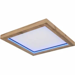 Luminaires Globo Lighting Éclairage Led|Plafonnier Globo BRANZA LED Noir, 1 lumière, Télécommandes