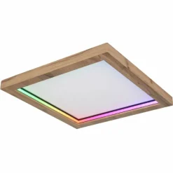 Luminaires Globo Lighting Éclairage Led|Plafonnier Globo BRANZA LED Noir, 1 lumière, Télécommandes
