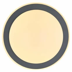 Luminaires Globo Lighting Éclairage Led|Plafonnier Globo DEGGI LED Blanc, 1 lumière