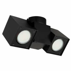 Luminaires Globo Lighting Spots Et Projecteurs|Plafonnier Globo ERIN Noir, 2 lumières