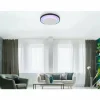 Luminaires Globo Lighting Éclairage Led|Plafonnier Globo MORGAN LED Noir, 1 lumière, Télécommandes
