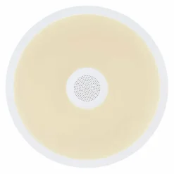 Luminaires Globo Lighting Éclairage Led|Plafonnier Globo RAFFY LED Noir, Blanc, 1 lumière, Télécommandes, Changeur de couleurs