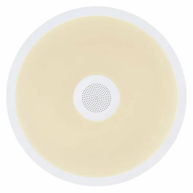 Luminaires Globo Lighting Éclairage Led|Plafonnier Globo RAFFY LED Noir, Blanc, 1 lumière, Télécommandes, Changeur de couleurs