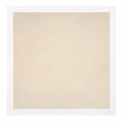 Plafonnier Globo ROSI LED Blanc, 1 lumière, Télécommandes, Changeur de couleurs