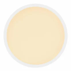 Luminaires Globo Lighting Éclairage Led|Plafonnier Globo SAPANA LED Blanc, 1 lumière