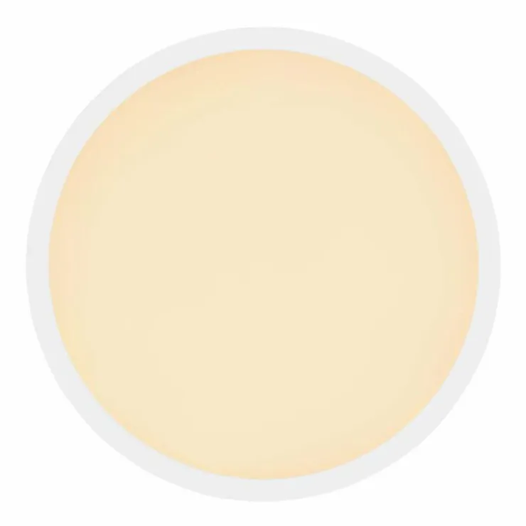 Luminaires Globo Lighting Éclairage Led|Plafonnier Globo SAPANA LED Blanc, 1 lumière