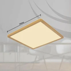 Luminaires Globo Lighting Éclairage Led|Plafonnier Globo SAPANA LED Laiton, Blanc, 1 lumière