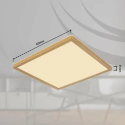 Luminaires Globo Lighting Éclairage Led|Plafonnier Globo SAPANA LED Laiton, Blanc, 1 lumière