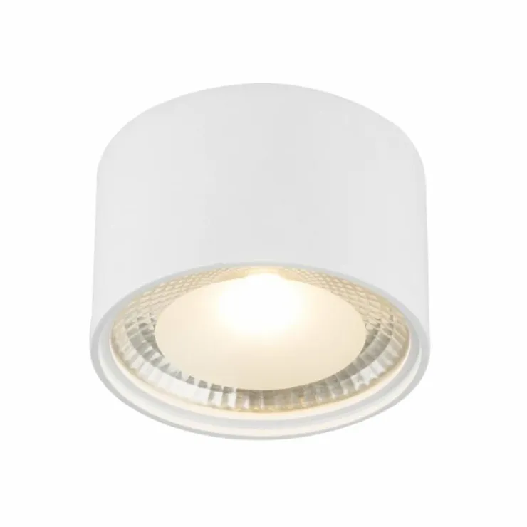 Luminaires Globo Lighting Éclairage Led|Plafonnier Globo SERENA LED Blanc, 1 lumière