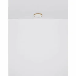 Luminaires Globo Lighting Éclairage Led|Plafonnier Globo TIBEY LED Laiton, 1 lumière