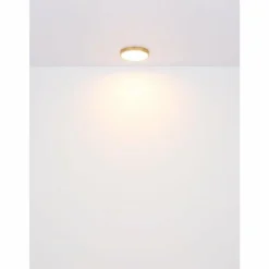 Luminaires Globo Lighting Éclairage Led|Plafonnier Globo TIBEY LED Laiton, 1 lumière
