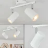 hofstein Spots Et Projecteurs|Plafonnier Javel Blanc, 2 lumières