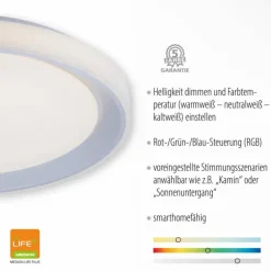 Plafonnier Leuchten-Direkt LOLAsmart-LENI LED Argenté, 1 lumière, Télécommandes, Changeur de couleurs