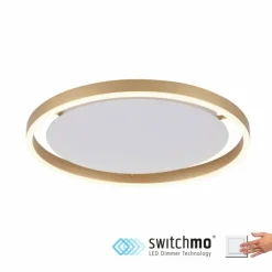 Luminaires Leuchten Direkt Éclairage Led|Plafonnier Leuchten-Direkt RITUS LED Laiton, 1 lumière
