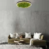Luminaires Leuchten Direkt Éclairage Led|Plafonnier Leuchten-Direkt GREEN RITUS LED Noir, 1 lumière
