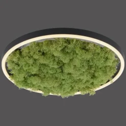 Luminaires Leuchten Direkt Éclairage Led|Plafonnier Leuchten-Direkt GREEN RITUS LED Noir, 1 lumière