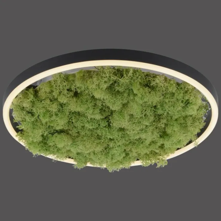 Luminaires Leuchten Direkt Éclairage Led|Plafonnier Leuchten-Direkt GREEN RITUS LED Noir, 1 lumière