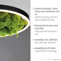Luminaires Leuchten Direkt Éclairage Led|Plafonnier Leuchten-Direkt GREEN RITUS LED Noir, 1 lumière