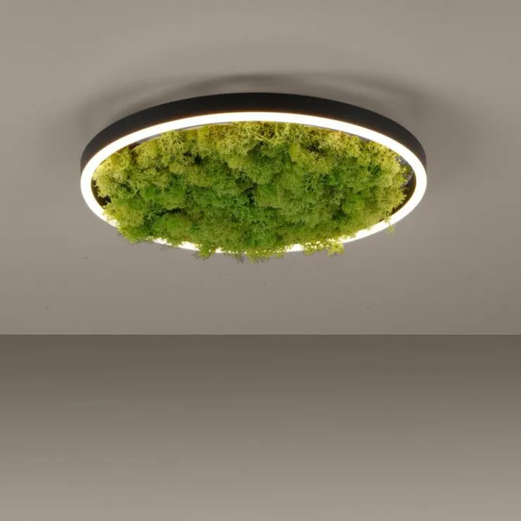 Luminaires Leuchten Direkt Éclairage Led|Plafonnier Leuchten-Direkt GREEN RITUS LED Noir, 1 lumière