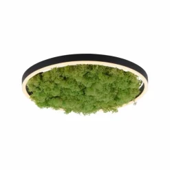 Luminaires Leuchten Direkt Éclairage Led|Plafonnier Leuchten-Direkt GREEN RITUS LED Noir, 1 lumière