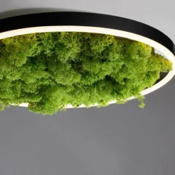 Luminaires Leuchten Direkt Éclairage Led|Plafonnier Leuchten-Direkt GREEN RITUS LED Noir, 1 lumière
