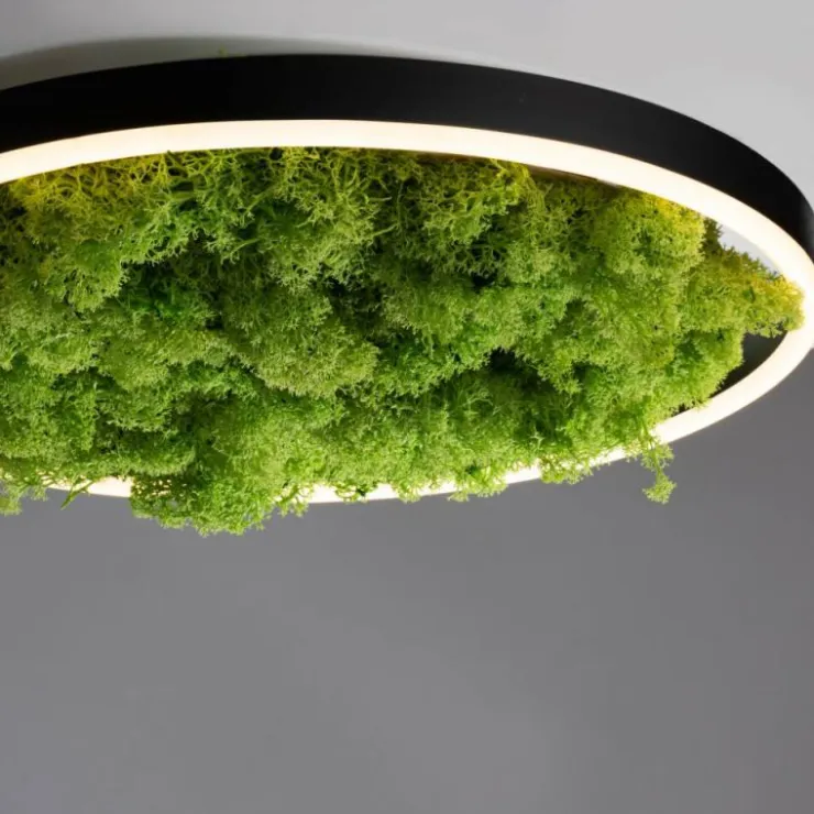 Luminaires Leuchten Direkt Éclairage Led|Plafonnier Leuchten-Direkt GREEN RITUS LED Noir, 1 lumière