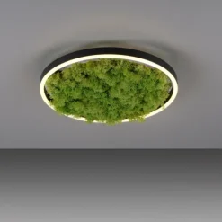 Luminaires Leuchten Direkt Éclairage Led|Plafonnier Leuchten-Direkt GREEN RITUS LED Noir, 1 lumière