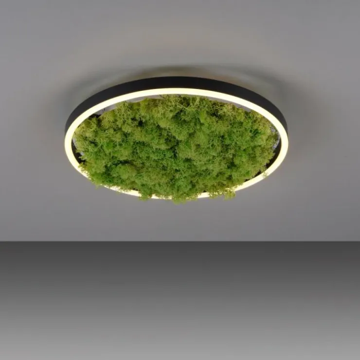 Luminaires Leuchten Direkt Éclairage Led|Plafonnier Leuchten-Direkt GREEN RITUS LED Noir, 1 lumière