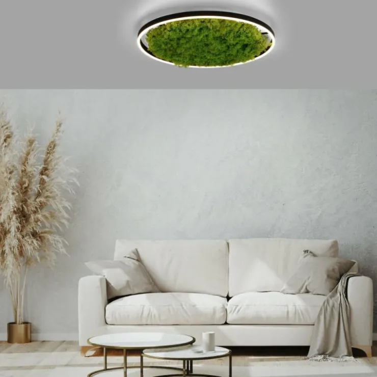 Luminaires Leuchten Direkt Éclairage Led|Plafonnier Leuchten-Direkt GREEN RITUS LED Noir, 1 lumière
