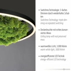 Luminaires Leuchten Direkt Éclairage Led|Plafonnier Leuchten-Direkt GREEN RITUS LED Noir, 1 lumière