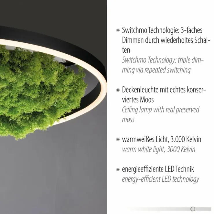 Luminaires Leuchten Direkt Éclairage Led|Plafonnier Leuchten-Direkt GREEN RITUS LED Noir, 1 lumière
