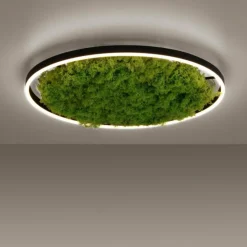 Luminaires Leuchten Direkt Éclairage Led|Plafonnier Leuchten-Direkt GREEN RITUS LED Noir, 1 lumière