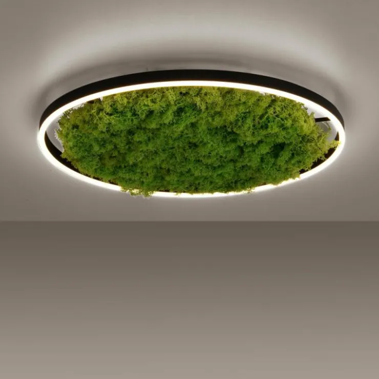 Luminaires Leuchten Direkt Éclairage Led|Plafonnier Leuchten-Direkt GREEN RITUS LED Noir, 1 lumière