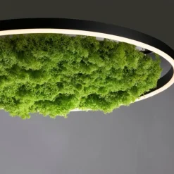 Luminaires Leuchten Direkt Éclairage Led|Plafonnier Leuchten-Direkt GREEN RITUS LED Noir, 1 lumière