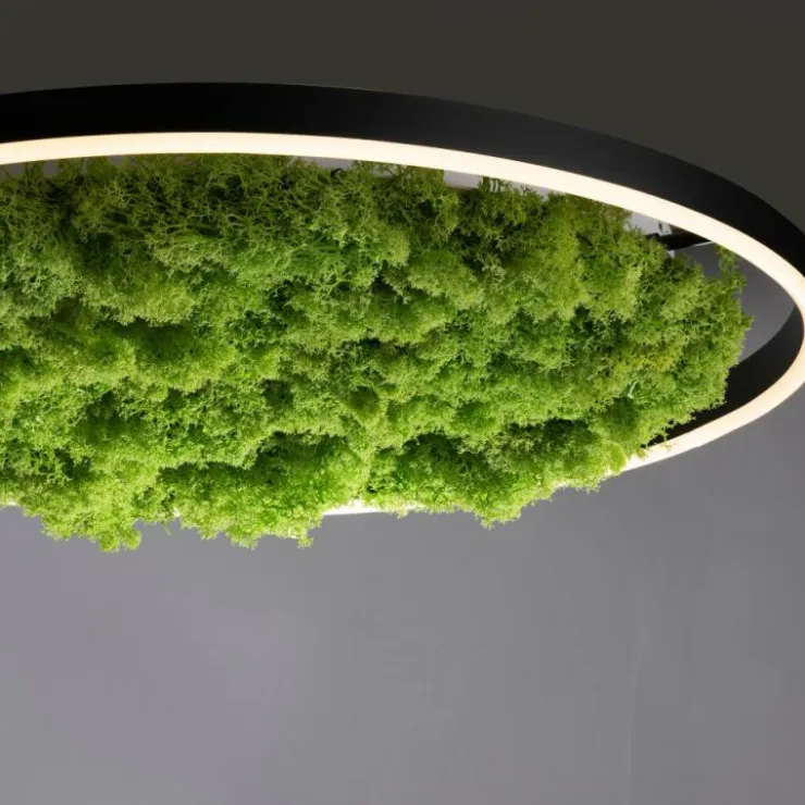 Luminaires Leuchten Direkt Éclairage Led|Plafonnier Leuchten-Direkt GREEN RITUS LED Noir, 1 lumière