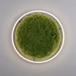 Luminaires Leuchten Direkt Éclairage Led|Plafonnier Leuchten-Direkt GREEN RITUS LED Noir, 1 lumière